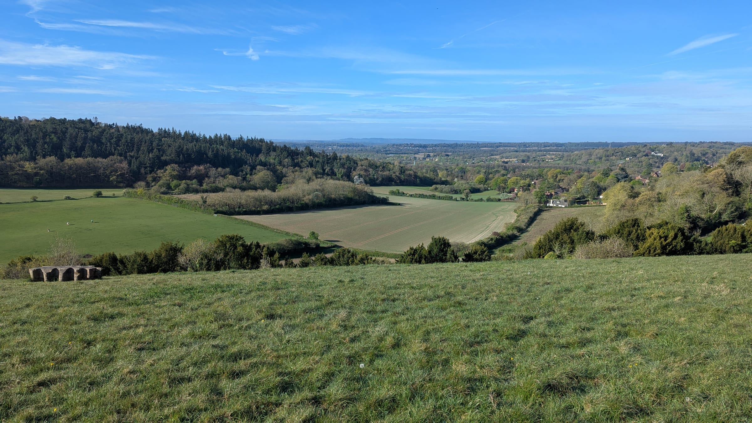 View south from Pewley Downs across a chalk valley dropping to farmland and the wooded ridge of the Chantries, with bare trees suggesting early spring