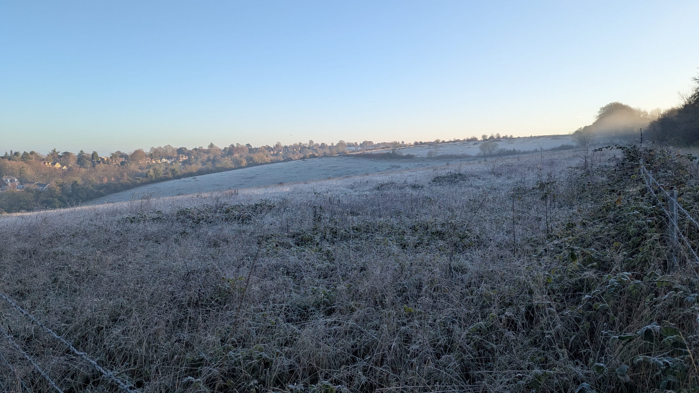 Frost on rough grassland at dawn on Pewley Meadows in winter, with the rooftops of Guildford catching early light on the horizon