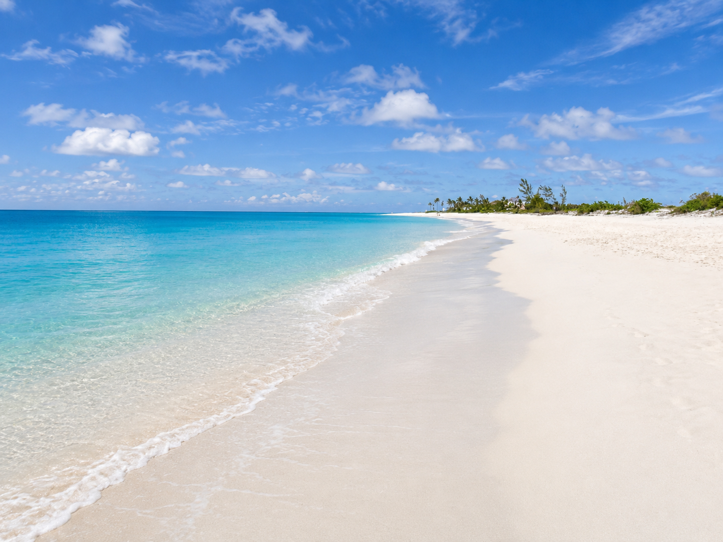 Aerial view of a calm Caribbean shoreline, shallow aqua water gradating to deeper blue, white sand and low coastal vegetation along the dune line
